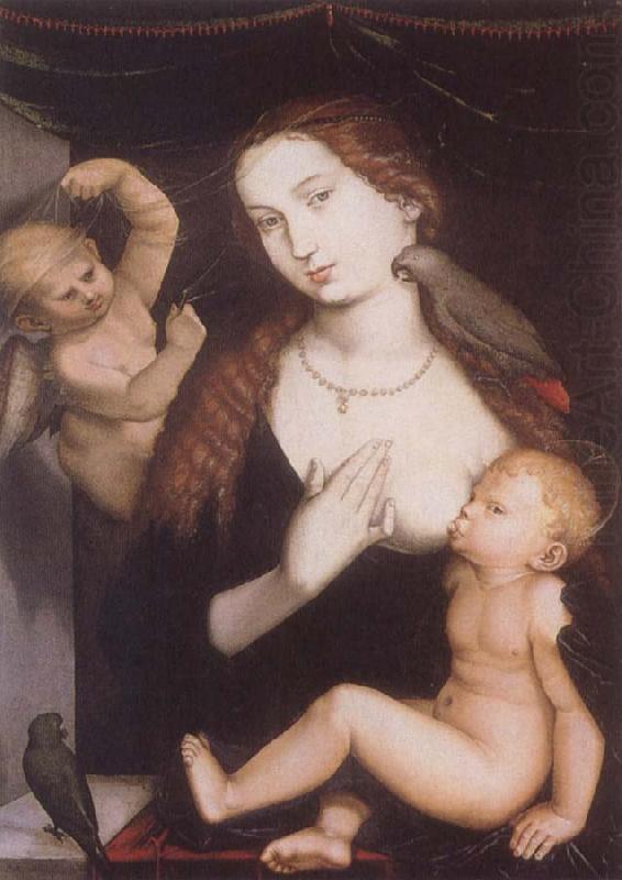 Virgin and Child with Parrots, Hans Baldung Grien